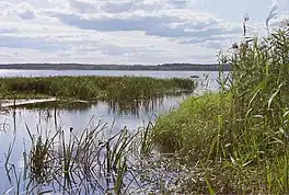 Mouth of Rõngu River into Lake Võrtsjärv between Rannaküla and Koruste.