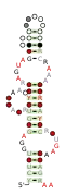 RAGATH-18 Secondary structure taken from the Rfam database. Family RF03064