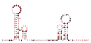 RAGATH-19 Secondary structure taken from the Rfam database. Family RF03096