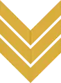 Chevron/ sleeve insignia