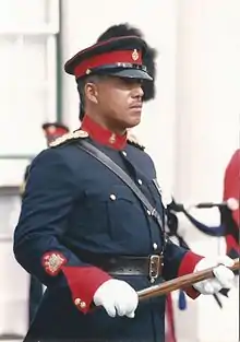 Regimental Sergeant Major in Royal Bermuda Regiment No. 1 dress with red facings