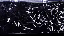 Cloud chamber with cloud tracks created by particles of ionising radiation (image taken after injection of radon)