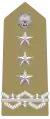 Tenente Generale(Italian Army)