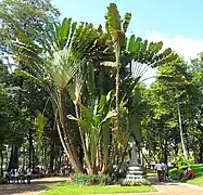 In a park of Phnom Penh, Cambodia