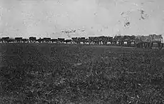 A line of wooden carts with wagon wheels pulled by oxen move down a path through a prairie