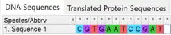 The reverse complement of the original sequence.