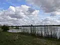 Nederrijn near Wageningen