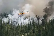 Photo of a helicopter above a coniferous forest engulfed in smoke