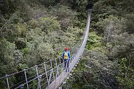 Robert's Point Track, Franz Josef, New Zealand