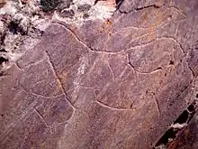 Rock drawings in the UNESCO designated Prehistoric Rock-Art Sites in the Côa Valley and Siega Verde