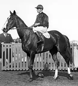 1932 Caulfield Cup showing the winner, Rogilla George Robinson