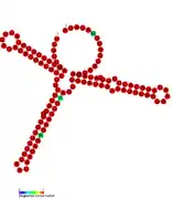 RsaF:  Secondary structure of RsaF. Rfam family RF01858