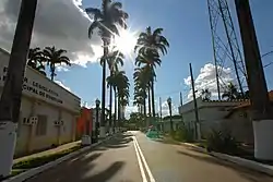 Street in Brasiléia