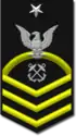 E-8 insignia