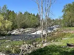 Rivière des Envies, chemin des Moulins, Saint-Séverin