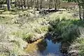 Downstream from the culvert