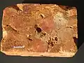 Sample of Angadipuram laterite brickstone