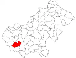 Location in Satu Mare County