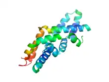 Saposin C dimer in an open conformation (PDB: 2QYP​).