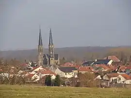 A general view of Sarralbe