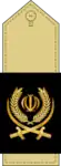 Islamic Republic of Iran Army Ground Forces insignia