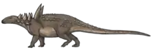 Sauropelta edwardsorum