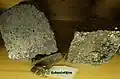 pyrite