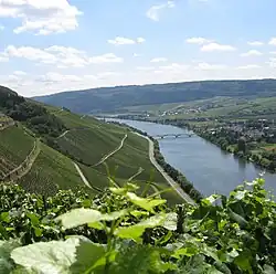 Schweicher Annaberg at the Moselle