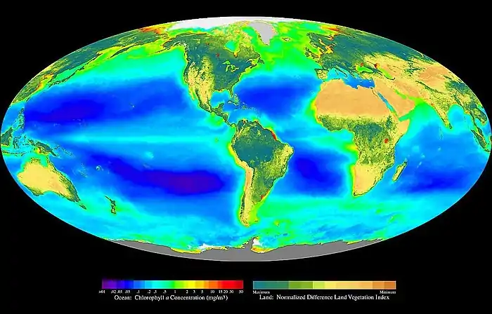 Image 17Global oceanic and terrestrial phototroph abundance, from September 1997 to August 2000. As an estimate of autotroph biomass, it is only a rough indicator of primary production potential and not an actual estimate of it. (from Ecosystem)