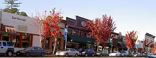 Main Street in Downtown Sebastopol