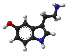 Ball-and-stick model of the serotonin molecule