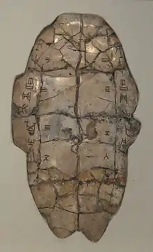 An off-white, ovular turtle shell with an inscription in ancient Chinese