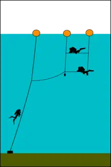 A shotline with a decompression trapeze – a series of crossbars suspended from a float at each end and ballasted as necessary, tethered to the main shotline.