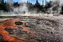 Blackened basin with orange streaks; steam is rising from it with fir trees in the background.