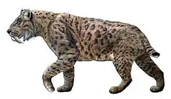 Smilodon fatalis