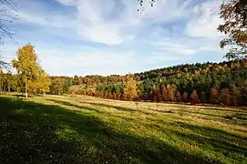 Soest, Netherlands - autumn landscape