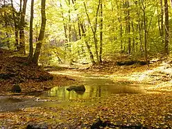 The Chagrin River as viewed from the South Chagrin Reservation.