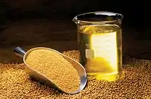  soybean oil, meal and beans.