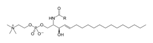 Skeletal formula of sphingomyelin