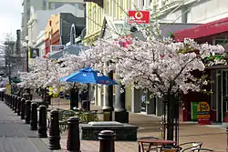 Spring in 2005, Esk Street, Invercargill