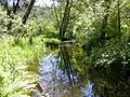 Spruce Creek (inflow of Scott Lake)