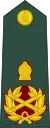 (Sri Lanka Army)