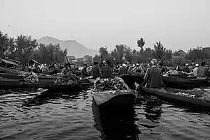 The floating vegetable market on Dal Lake