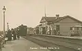 Gorskaya railway station on the Primorskaya Line in 1904.