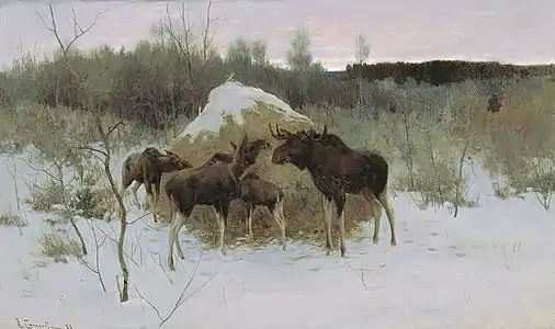 Moose Herd