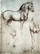 Leonardo's horse in silverpoint, c. 1488