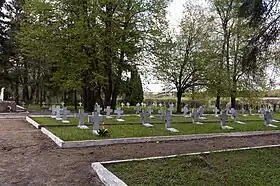 Stalag I-B's cemetery in Sudwa, with mass graves of Polish and Soviet prisoners.