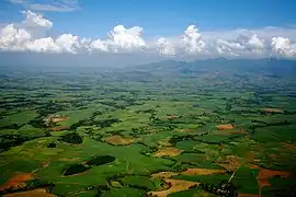 Vast sugarcane plantations in Bacolod