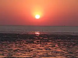 The sun sets at Koteshwar, a temple town near the border at Kutch, Gujarat.