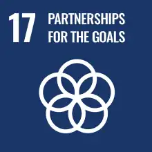 Sustainable Development Goal 17